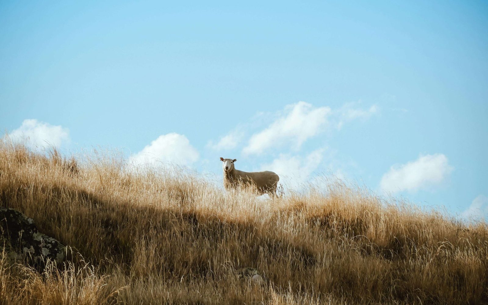 Bijbelstudie als God geen God meer is