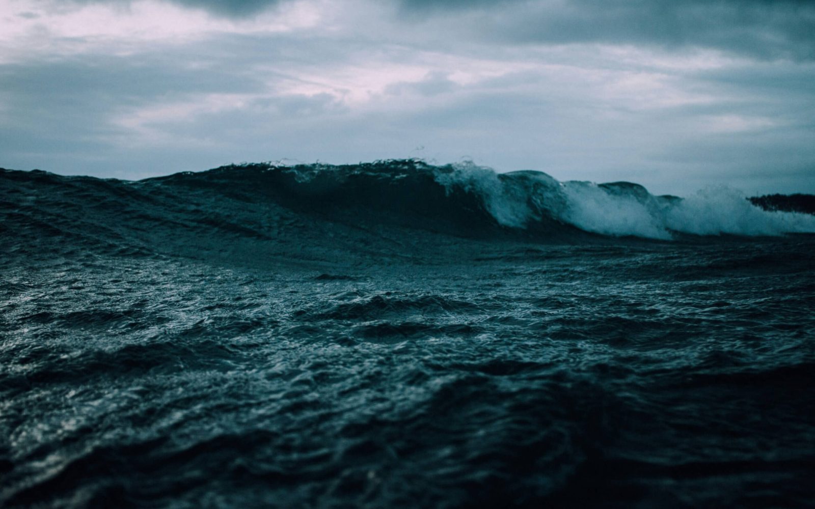Het beest uit de zee Bijbelstudie